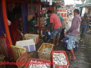 Penimbangan Ikan Yang Berhasil di Tangkap Nelayan di Ds Talisayan