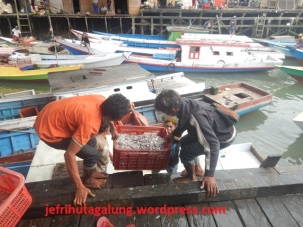Tampak Tangkapan Ikan Nelayan di Ds Talisayan